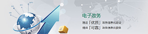 政务信息化